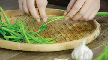 Rau muống xào bạch tuộc 1