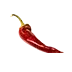 177835