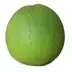 Bưởi