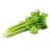 Cần Tây